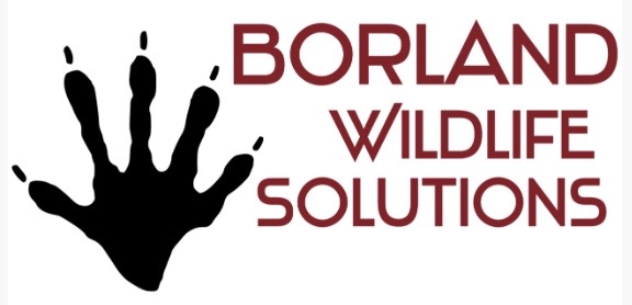Borland Wildlife Solutions