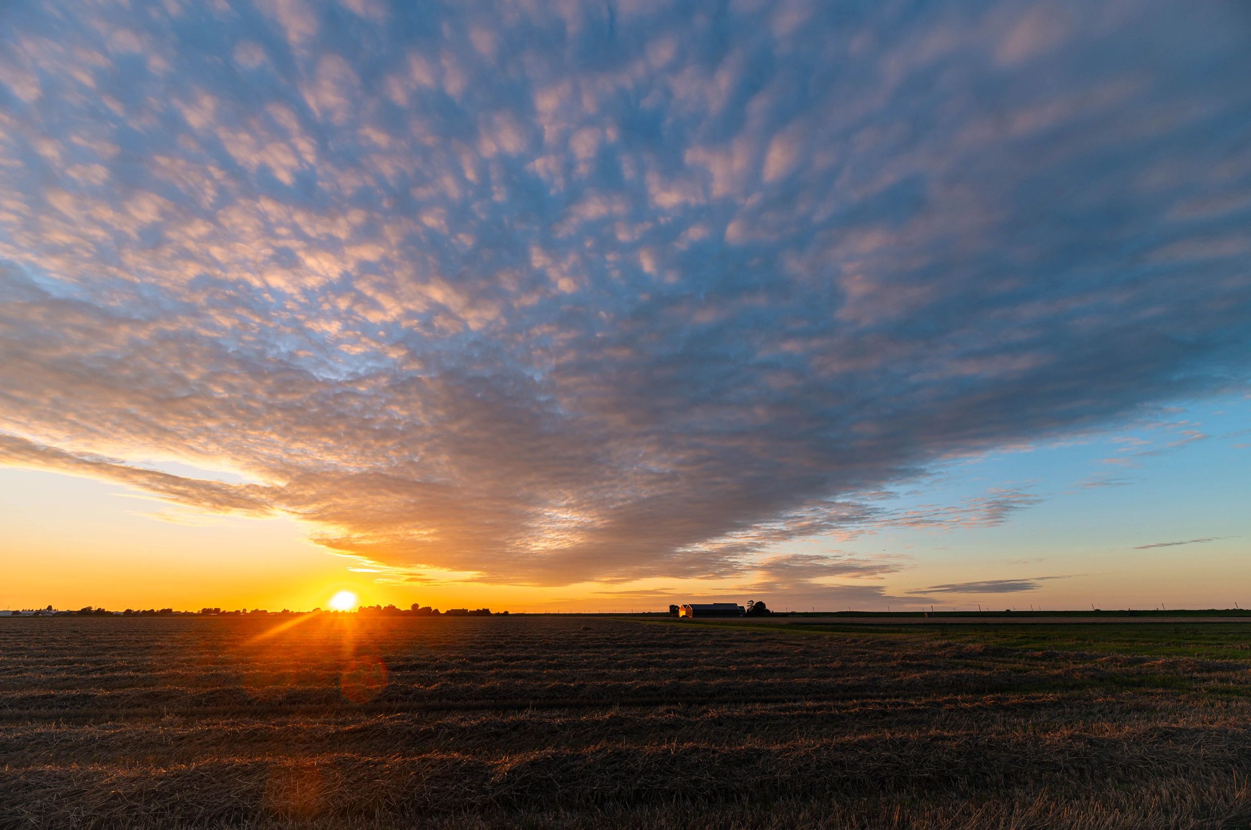 Open plains landscape