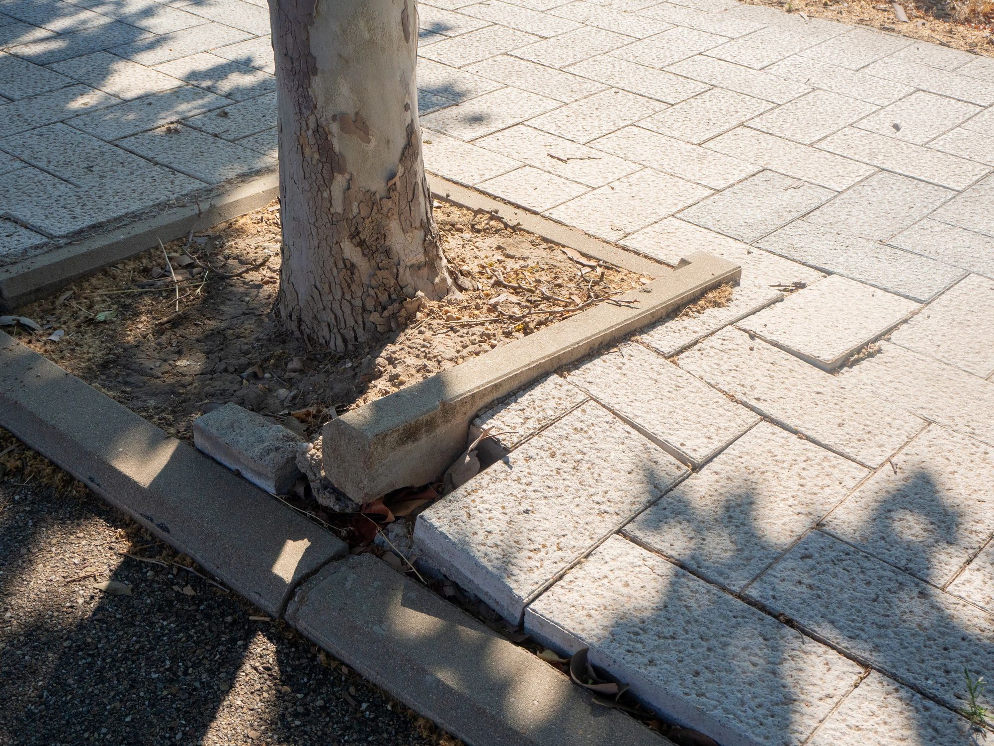 Property damage area illustrating the need for inspection and solutions