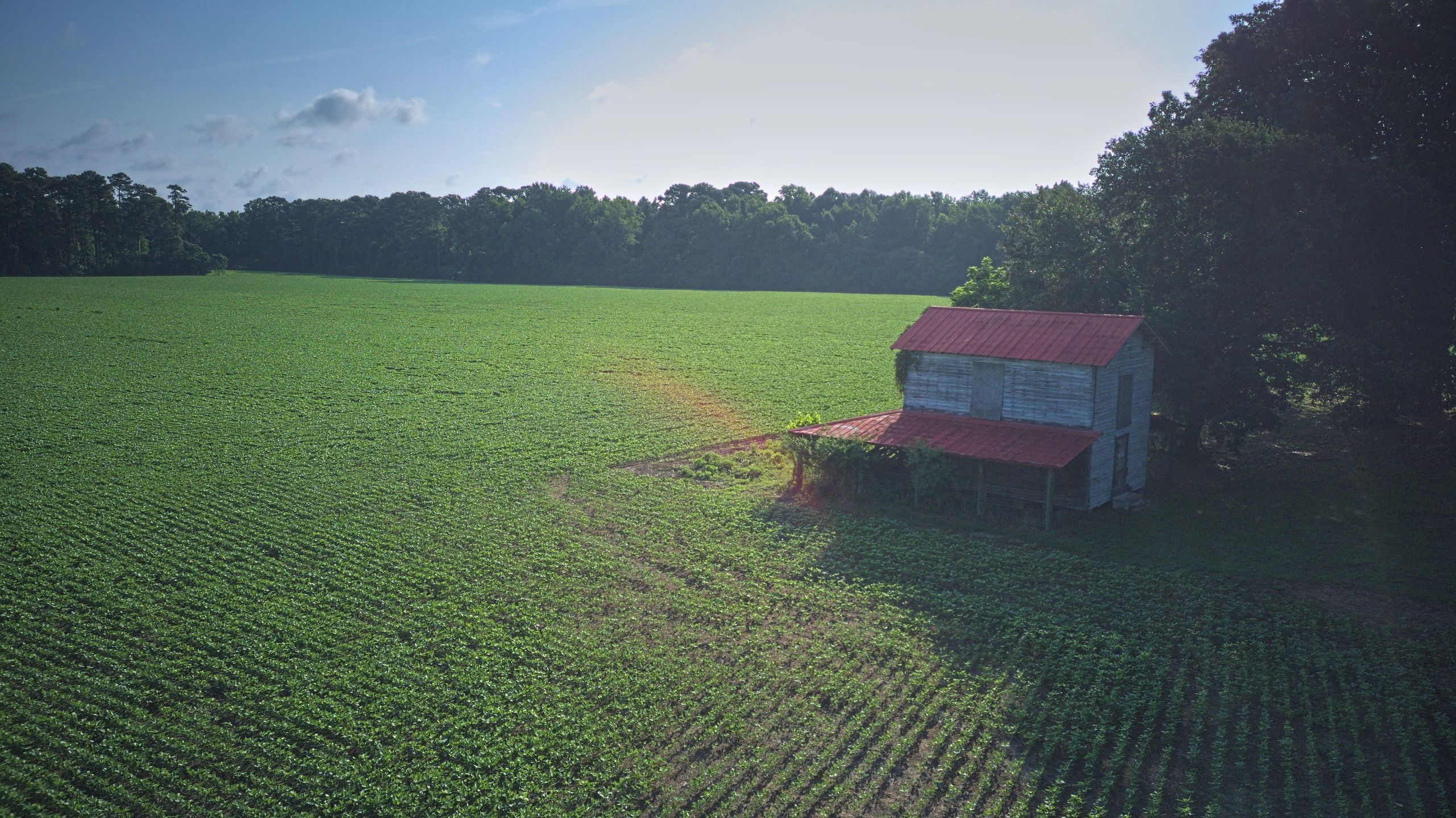 Barn and crop field representing central Nebraska farm and ranch properties