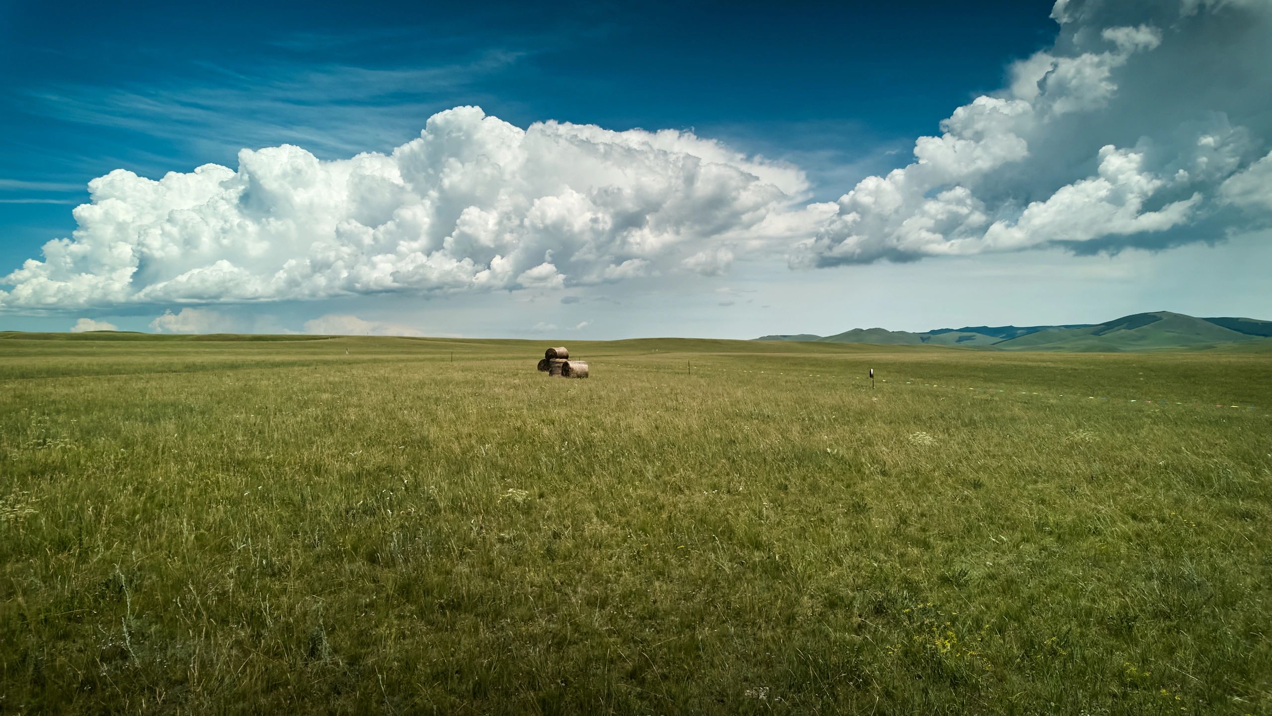 Open grass pasture on ranch land